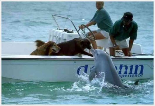 List Of The Most funnypics Shoplifted Items